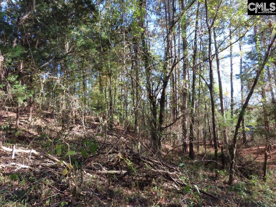 Alston Road Jenkinsville, SC 29065