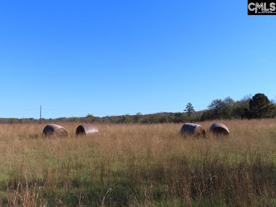 Alston Road, Jenkinsville, South Carolina image 27