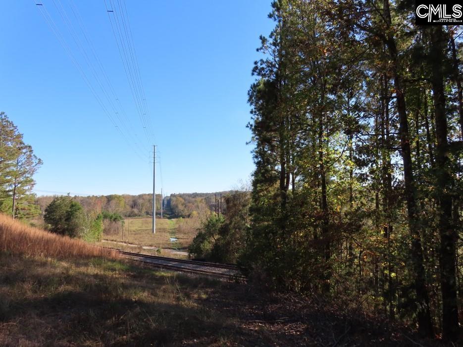Alston Road Jenkinsville, SC 29065