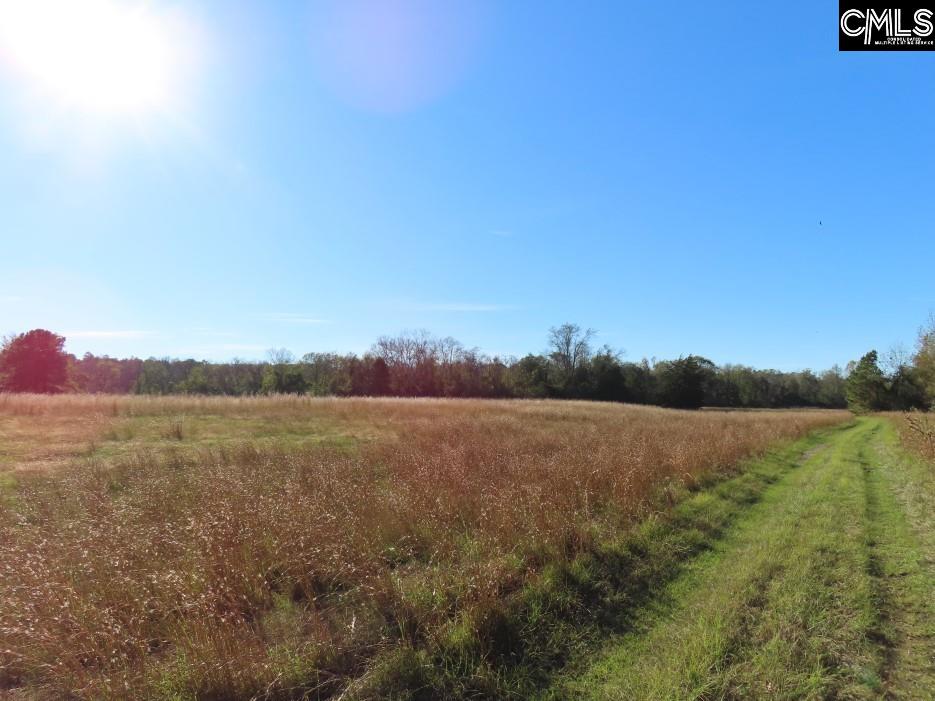 Alston Road Jenkinsville, SC 29065