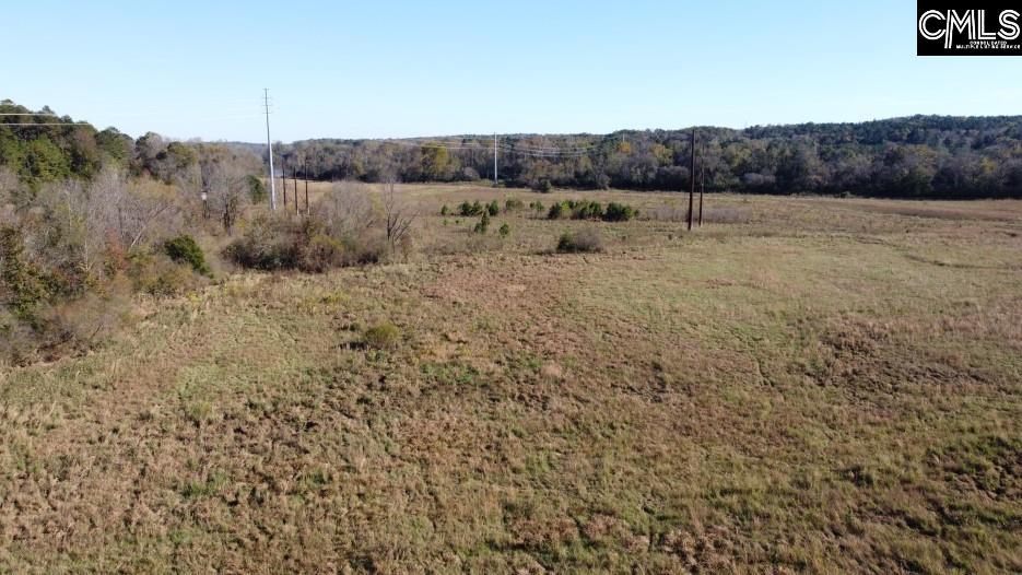 Alston Road Jenkinsville, SC 29065