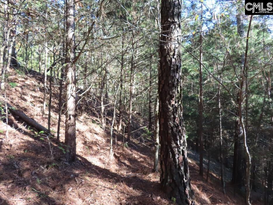Alston Road Jenkinsville, SC 29065