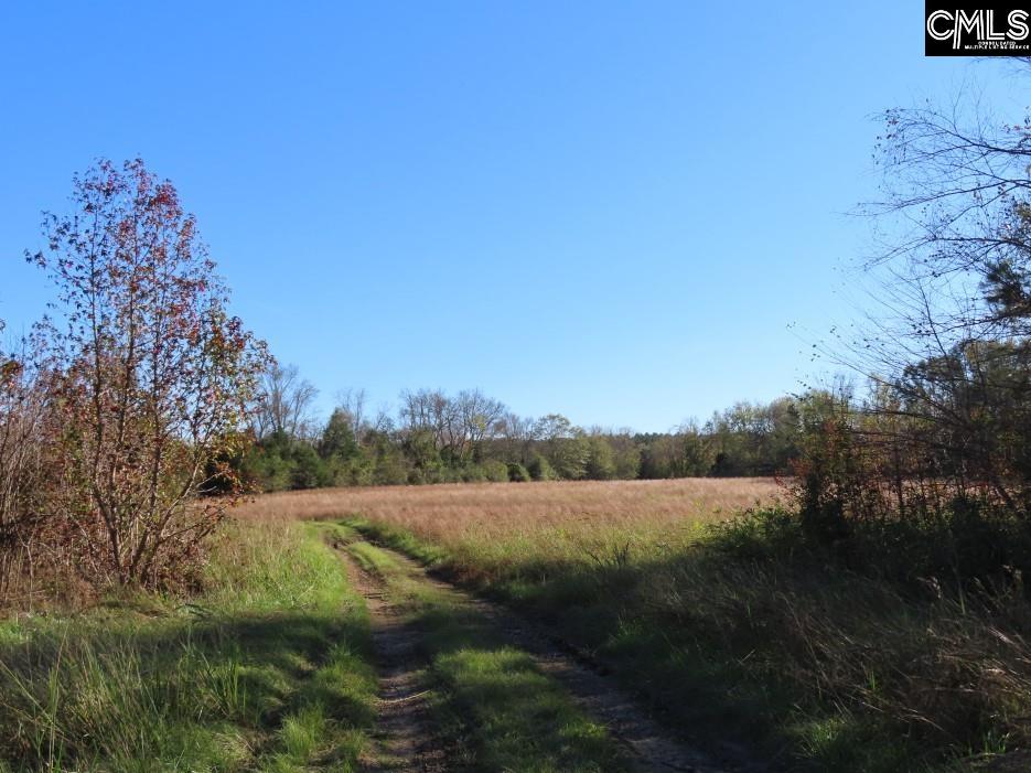 Alston Road Jenkinsville, SC 29065