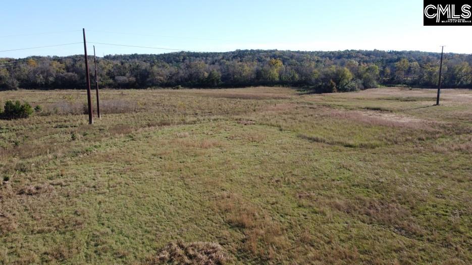 Alston Road Jenkinsville, SC 29065