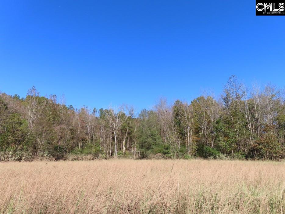Alston Road Jenkinsville, SC 29065