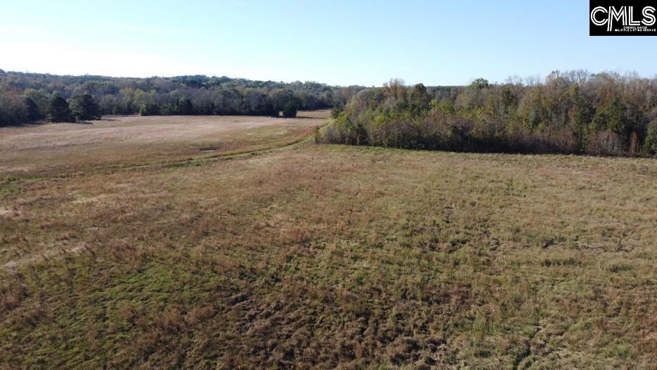 Alston Road Jenkinsville, SC 29065