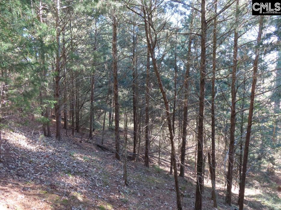 Alston Road Jenkinsville, SC 29065