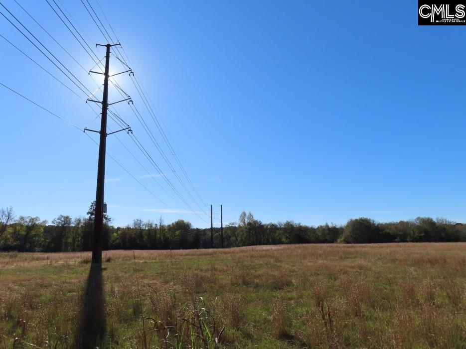 Alston Road Jenkinsville, SC 29065