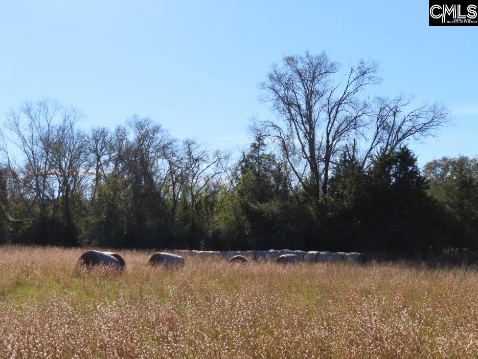 Alston Road Jenkinsville, SC 29065