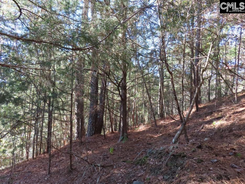 Alston Road Jenkinsville, SC 29065