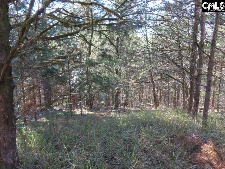 Alston Road Jenkinsville, SC 29065