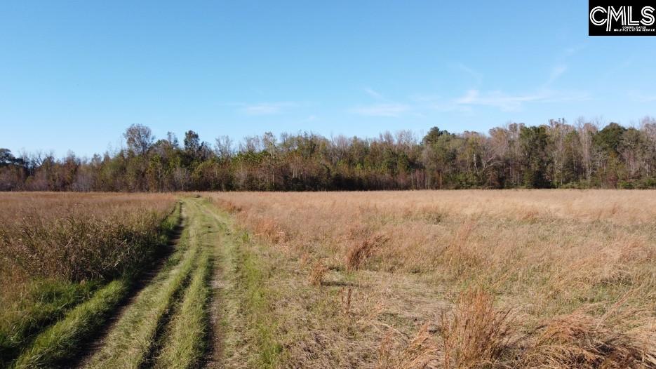 Alston Road Jenkinsville, SC 29065