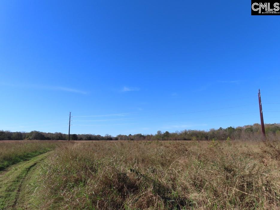 Alston Road Jenkinsville, SC 29065