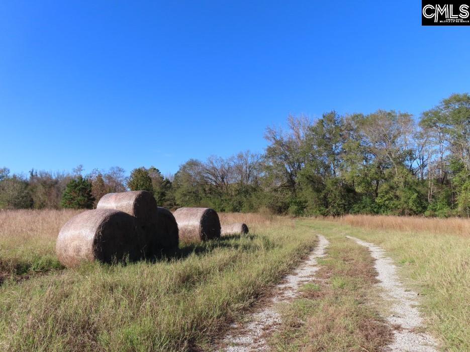 Alston Road Jenkinsville, SC 29065
