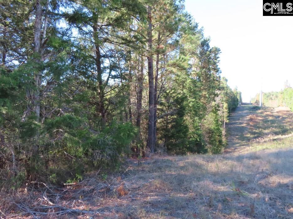 Alston Road Jenkinsville, SC 29065