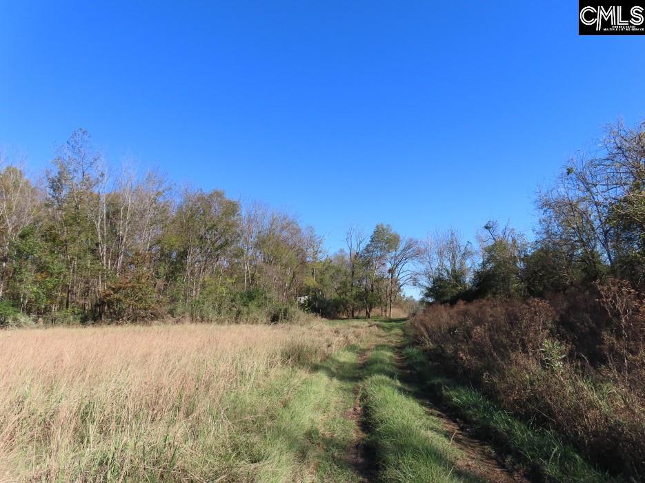 Alston Road Jenkinsville, SC 29065