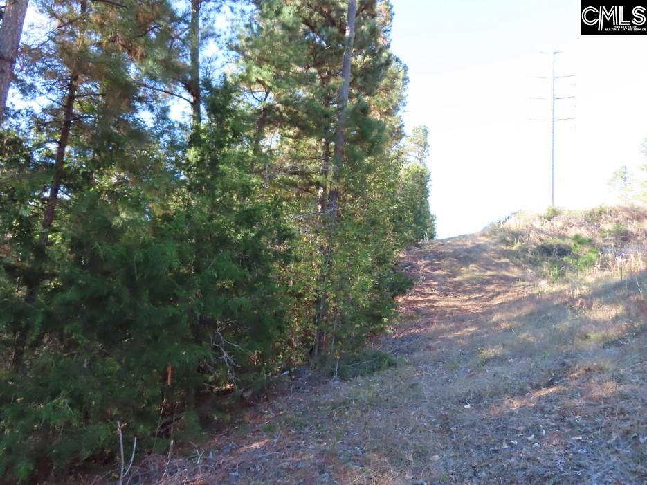 Alston Road Jenkinsville, SC 29065
