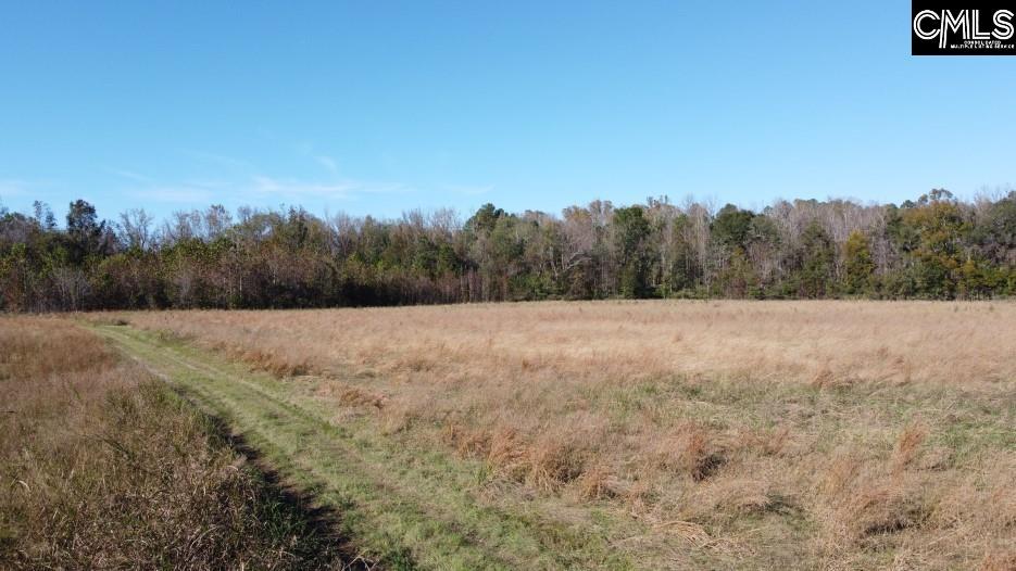 Alston Road Jenkinsville, SC 29065