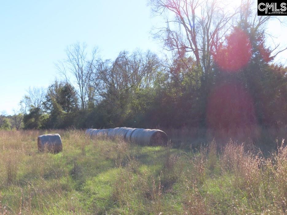 Alston Road Jenkinsville, SC 29065