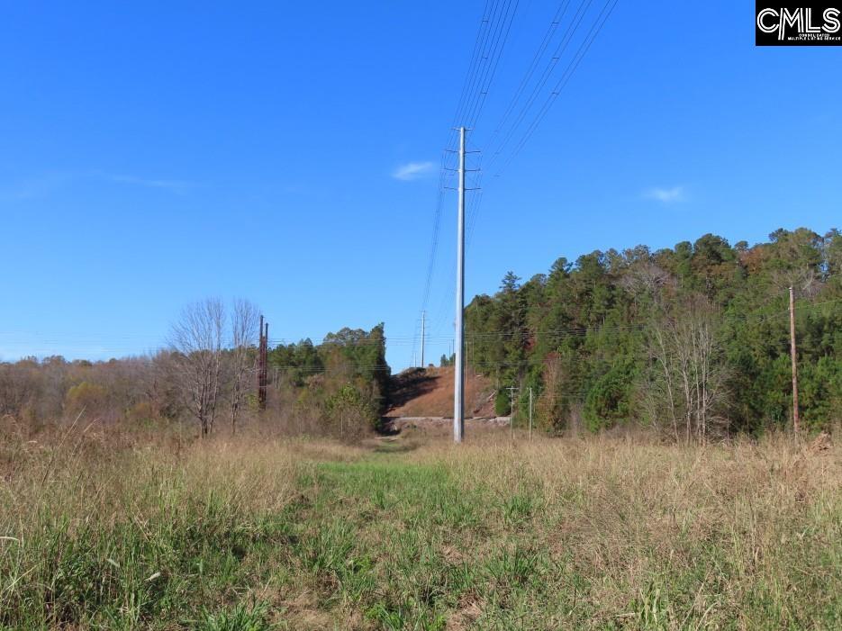 Alston Road Jenkinsville, SC 29065