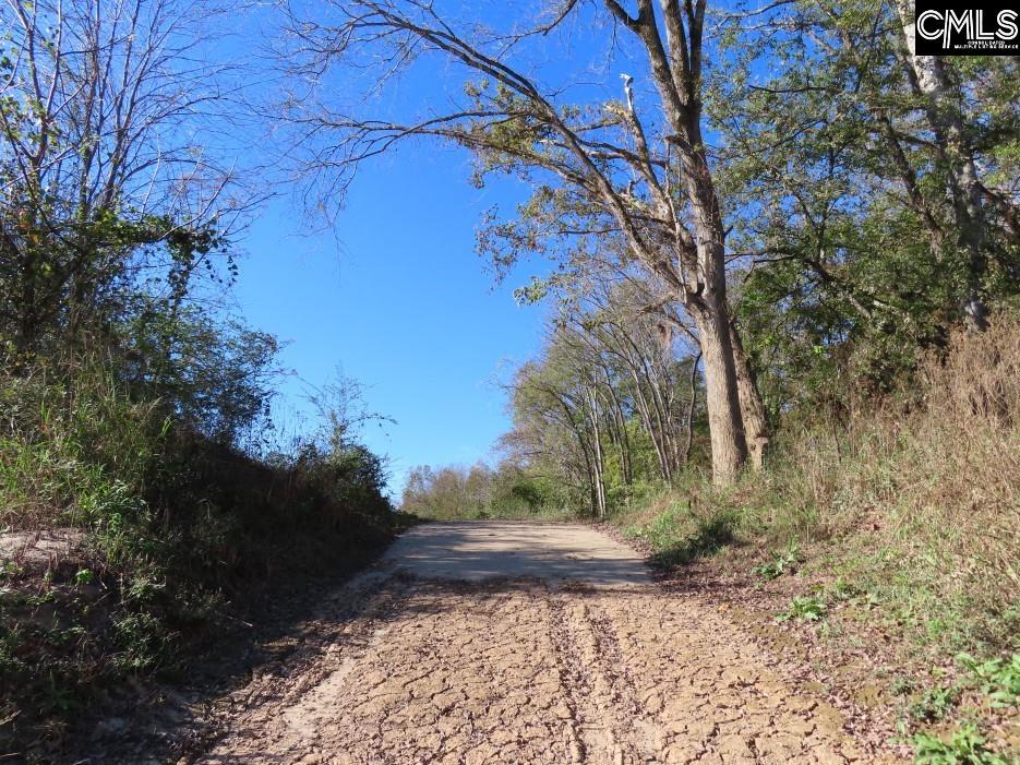Alston Road Jenkinsville, SC 29065