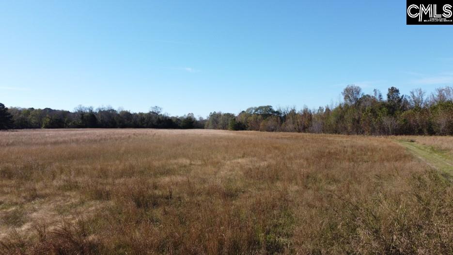 Alston Road Jenkinsville, SC 29065