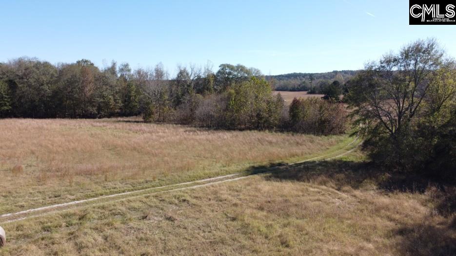 Alston Road Jenkinsville, SC 29065