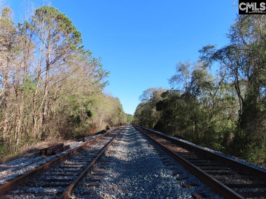 Alston Road, Jenkinsville, South Carolina image 9