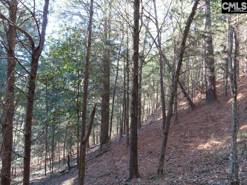 Alston Road Jenkinsville, SC 29065
