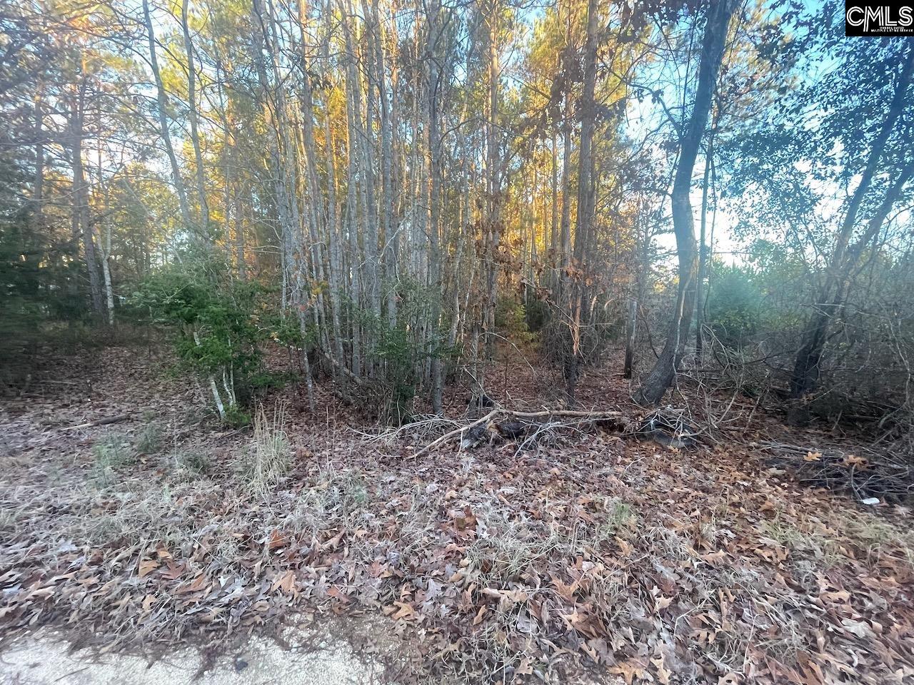 St. Luke Church Road Winnsboro, SC 29180