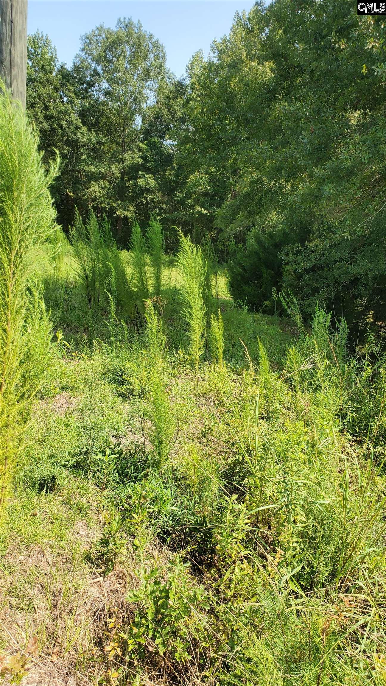 Ardis Road, Pinewood, South Carolina image 5