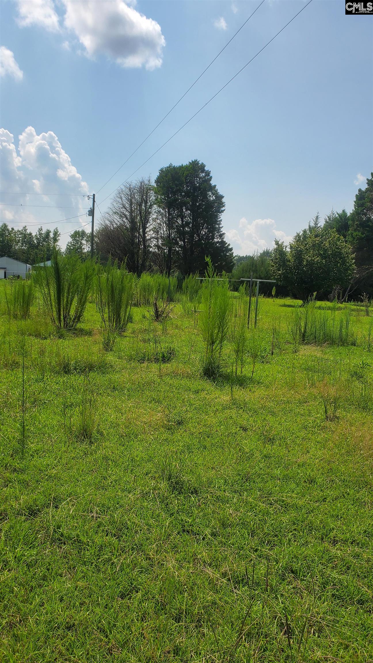 Ardis Road, Pinewood, South Carolina image 6