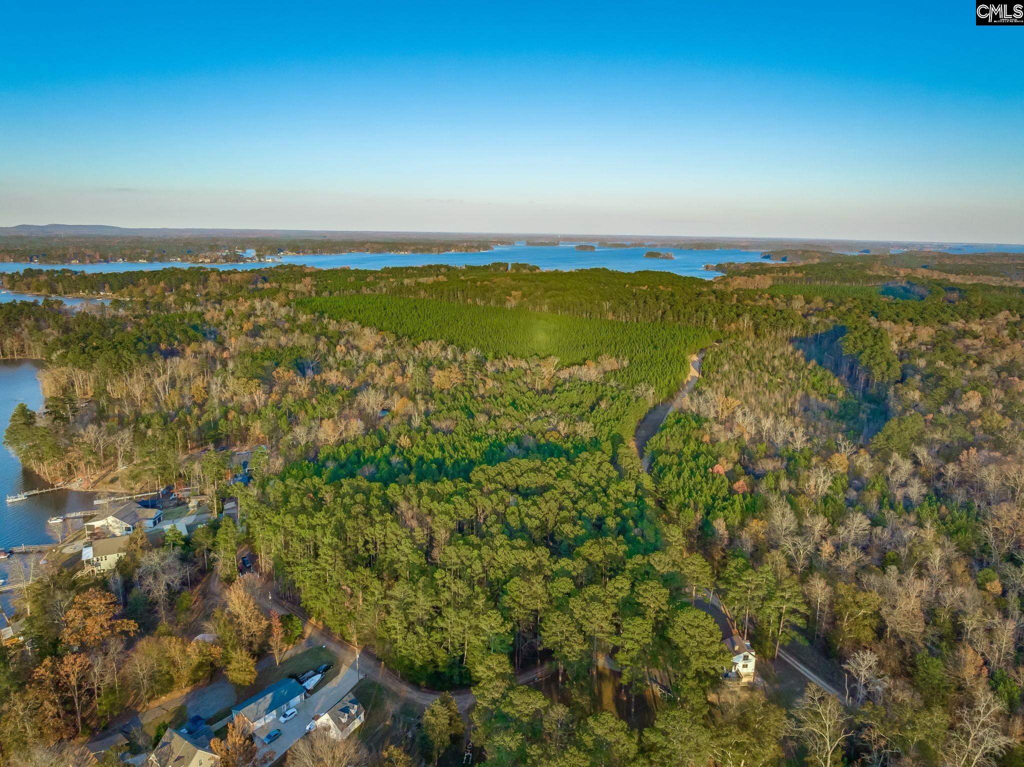 164 Burnt Oak Lane, Leesville, South Carolina image 12