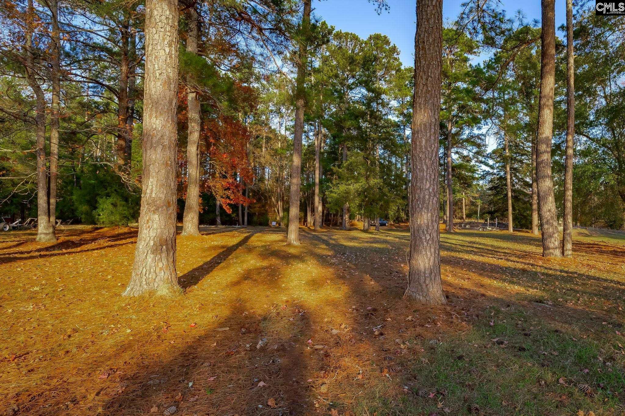 164 Burnt Oak Lane, Leesville, South Carolina image 27