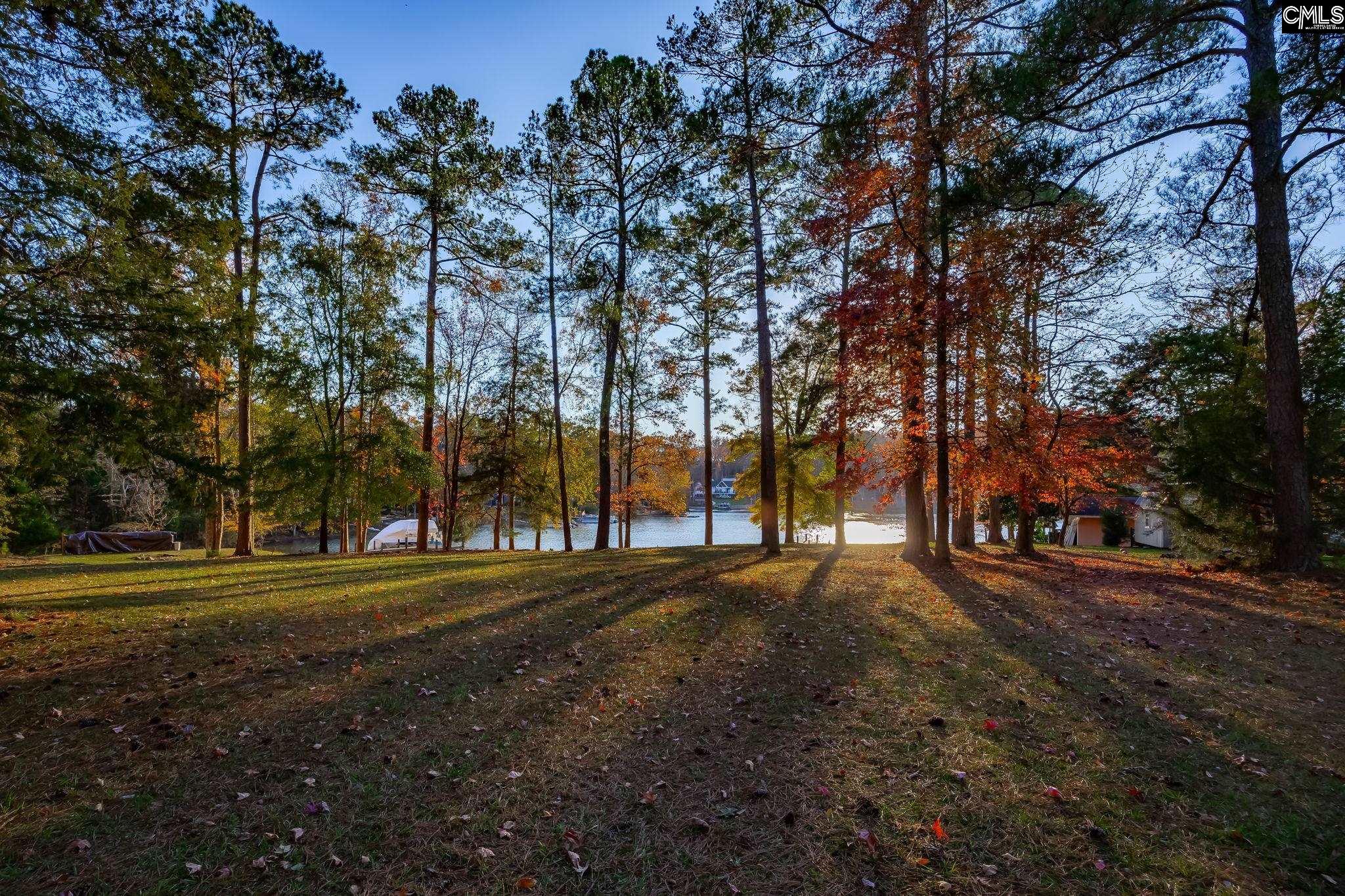 164 Burnt Oak Lane, Leesville, South Carolina image 28
