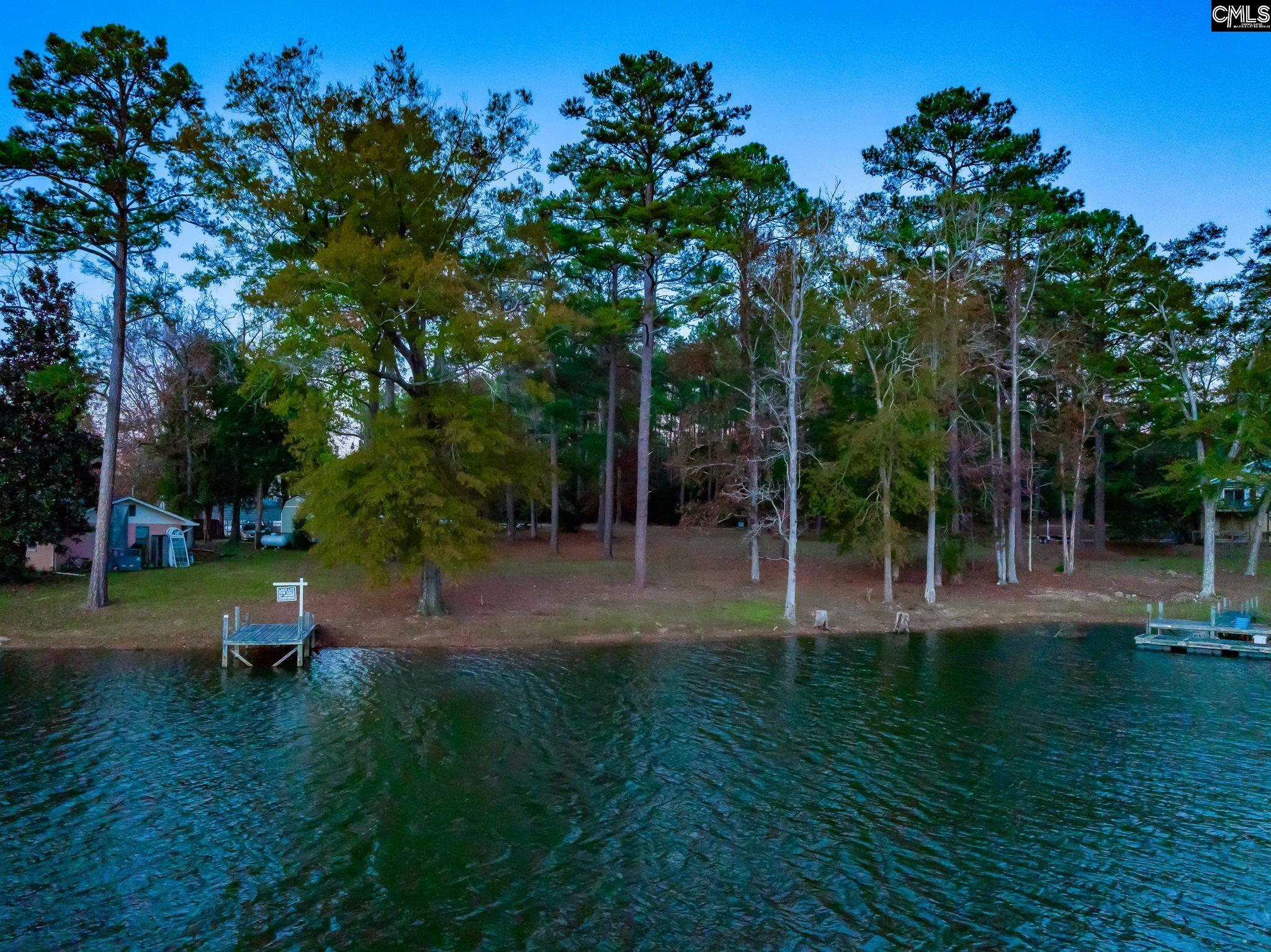 164 Burnt Oak Lane, Leesville, South Carolina image 4