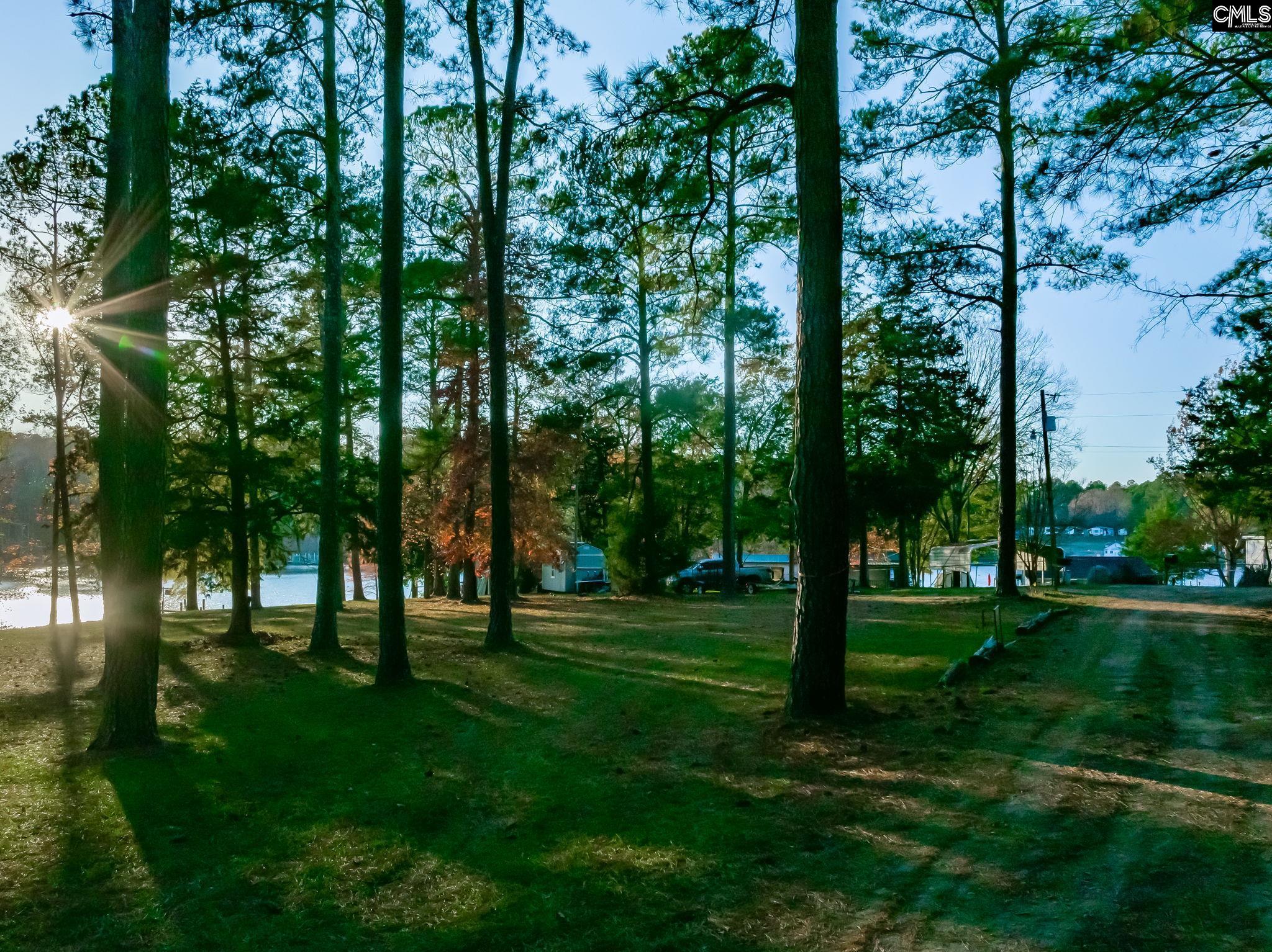 164 Burnt Oak Lane, Leesville, South Carolina image 33