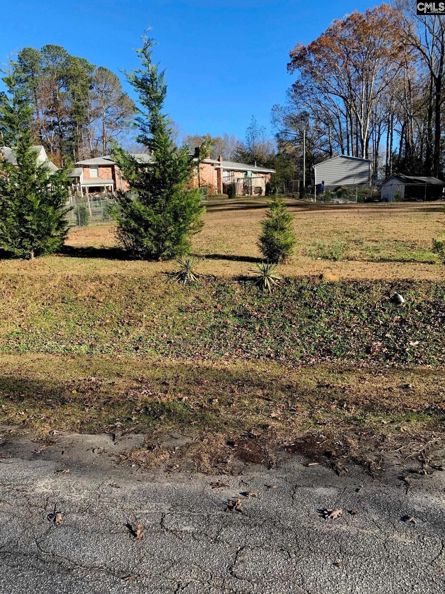 00 Olive Branch Terrace Batesburg, SC 29006