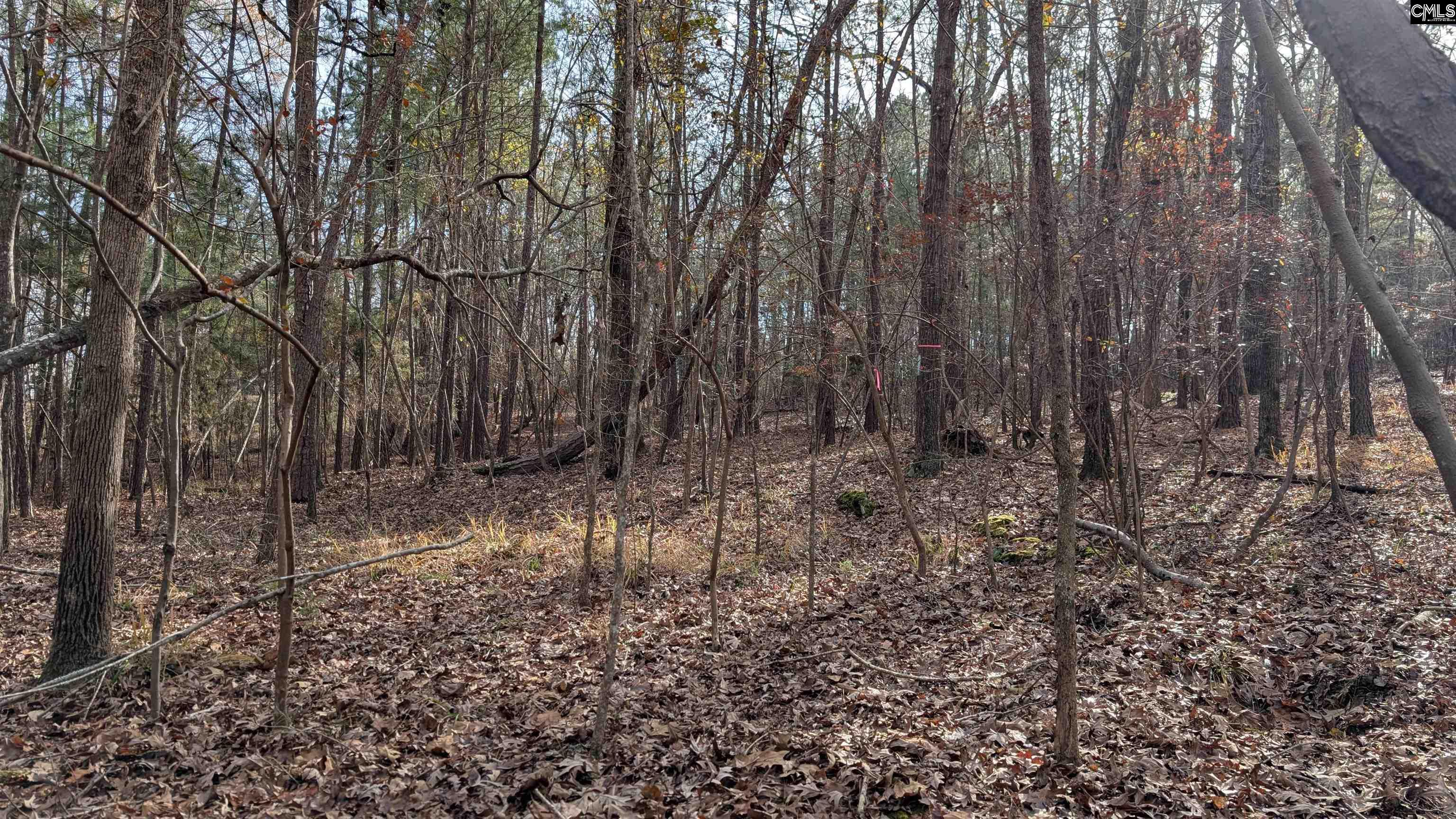 TBD Wateree Estates Road, Winnsboro, South Carolina image 2