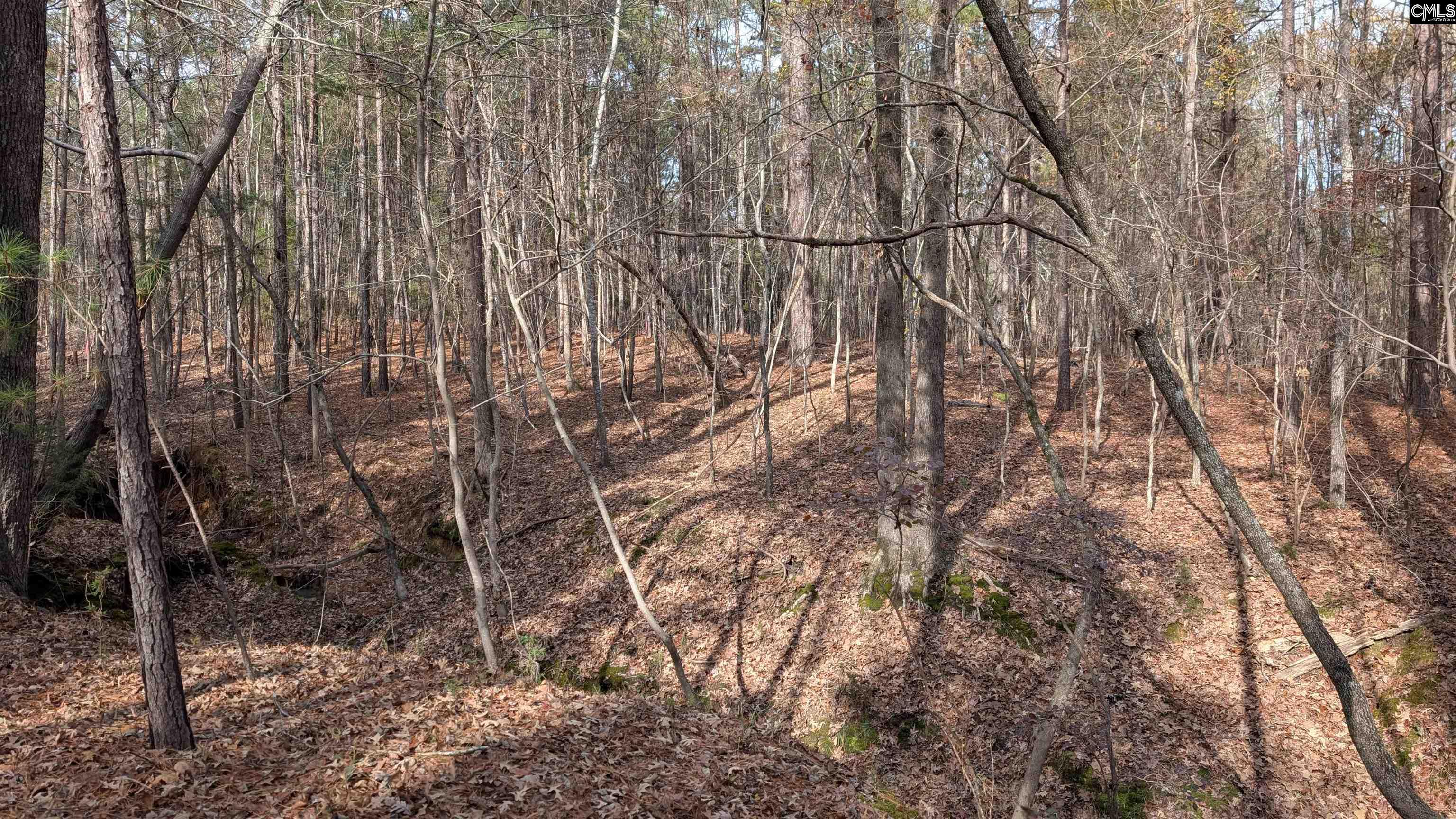 TBD Wateree Estates Road, Winnsboro, South Carolina image 10