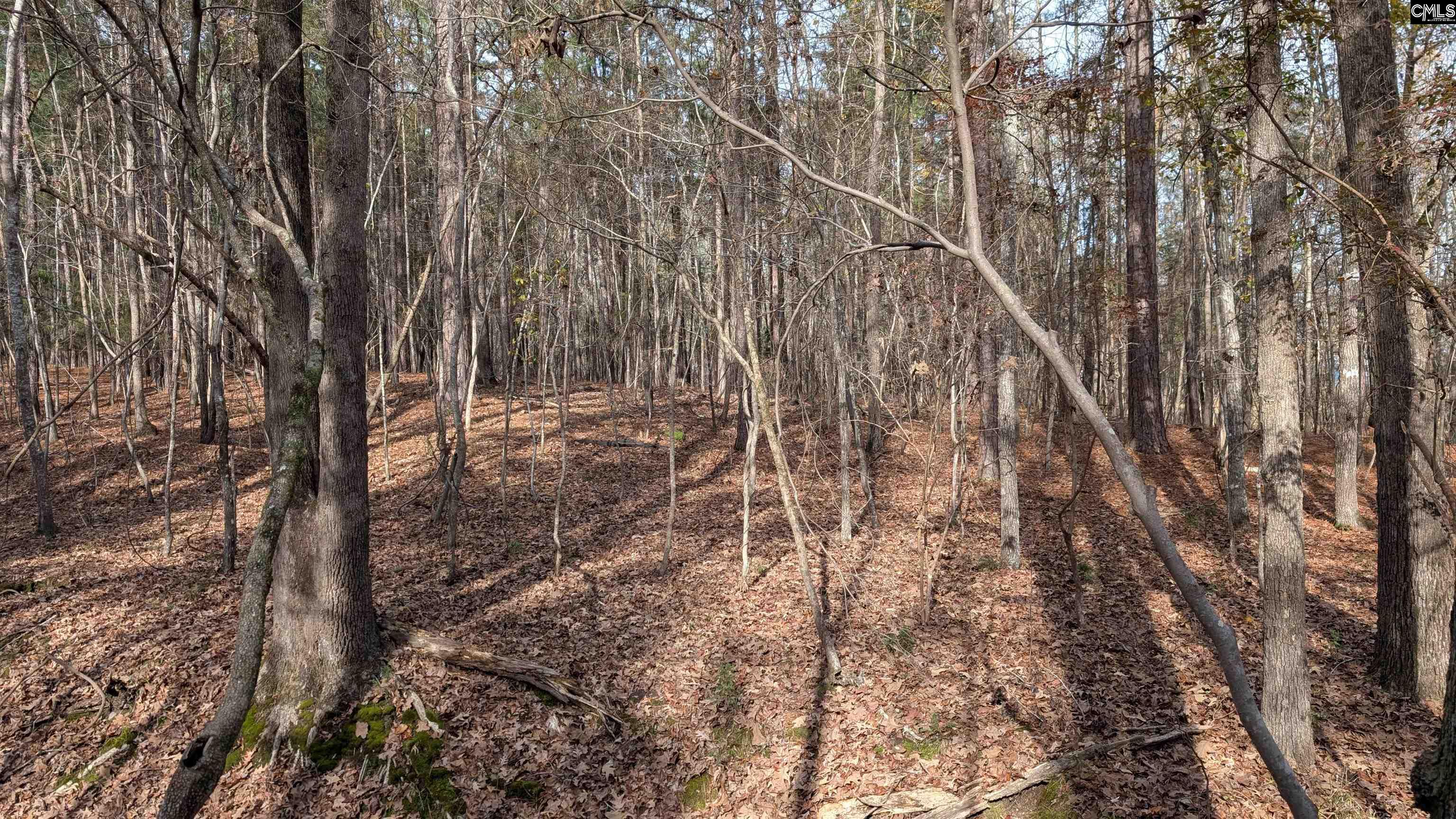 TBD Wateree Estates Road, Winnsboro, South Carolina image 11