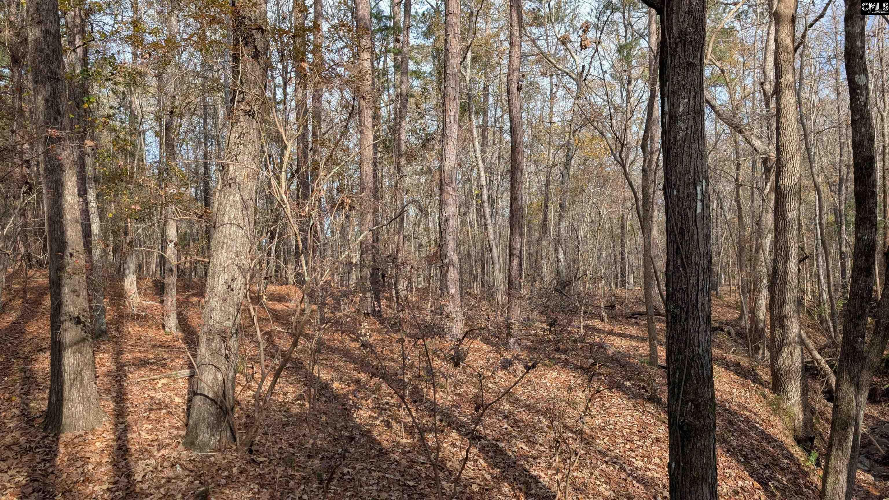 TBD Wateree Estates Road, Winnsboro, South Carolina image 12