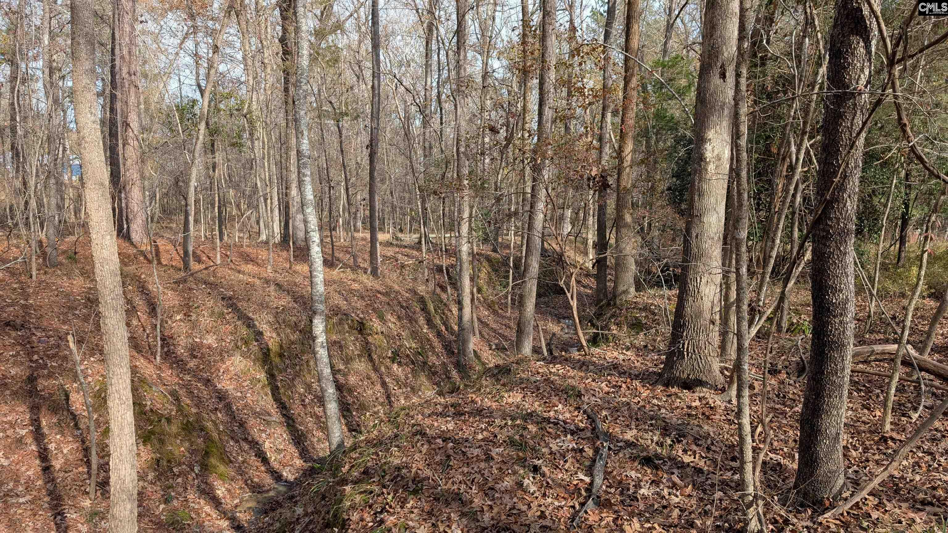 TBD Wateree Estates Road, Winnsboro, South Carolina image 13