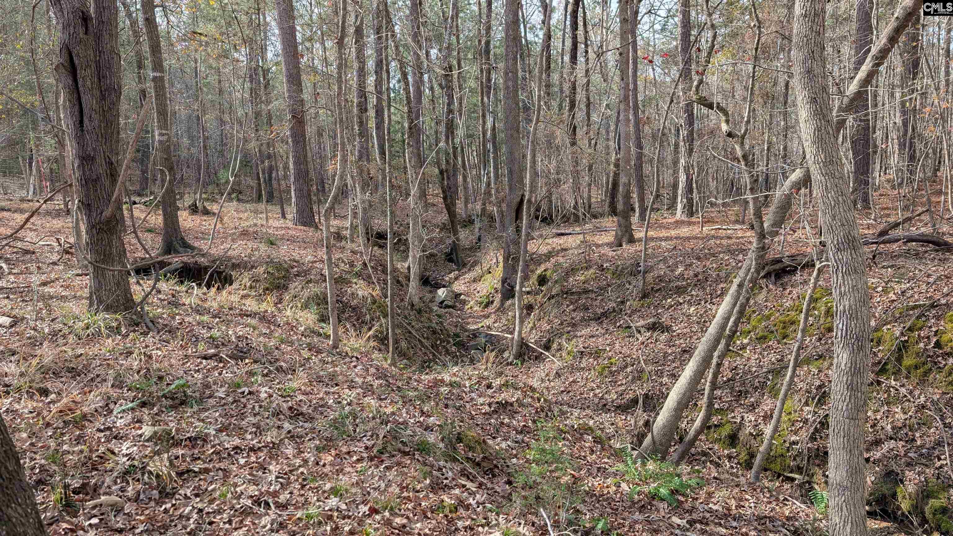 TBD Wateree Estates Road, Winnsboro, South Carolina image 14