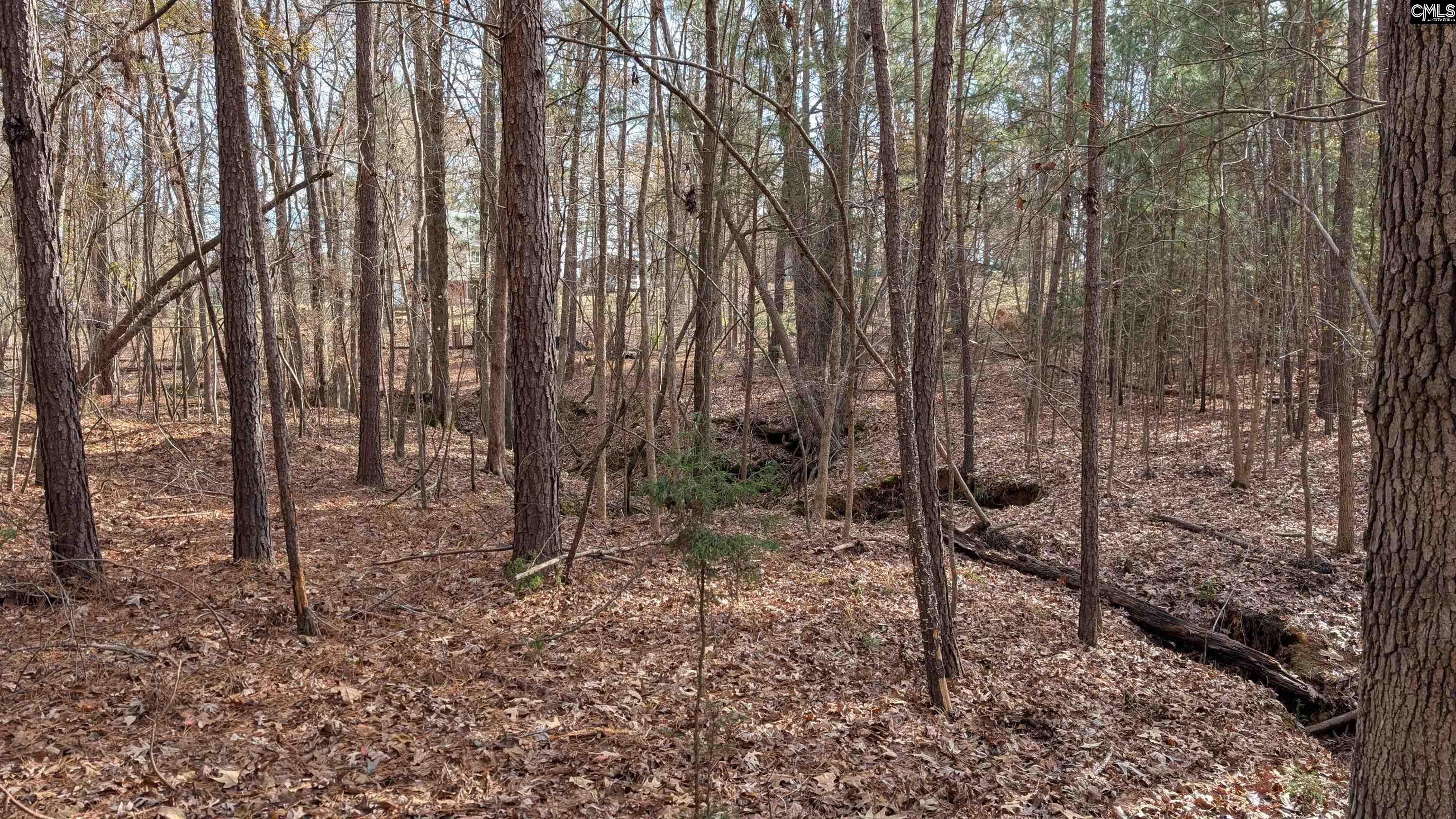 TBD Wateree Estates Road, Winnsboro, South Carolina image 15