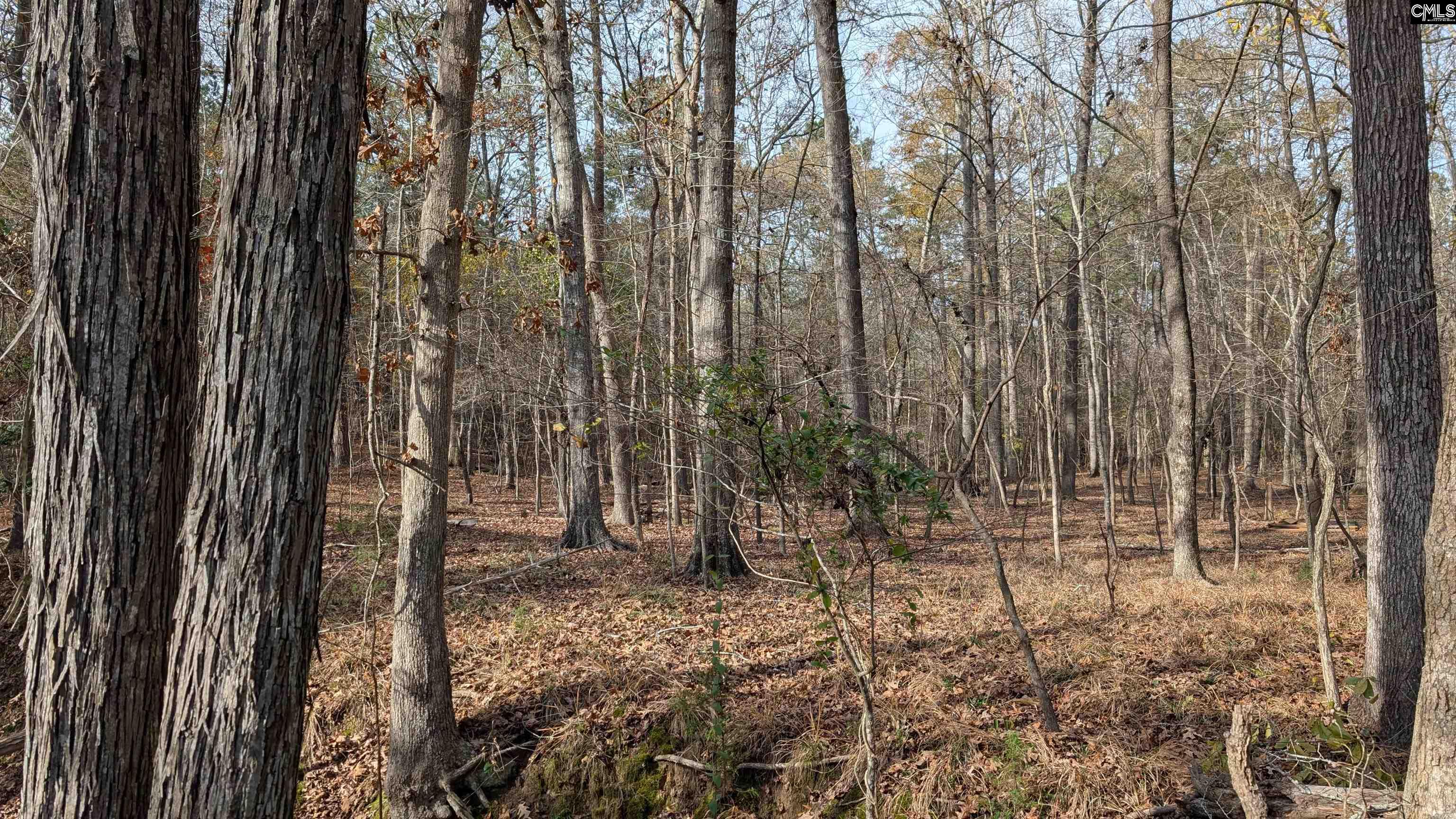TBD Wateree Estates Road, Winnsboro, South Carolina image 5