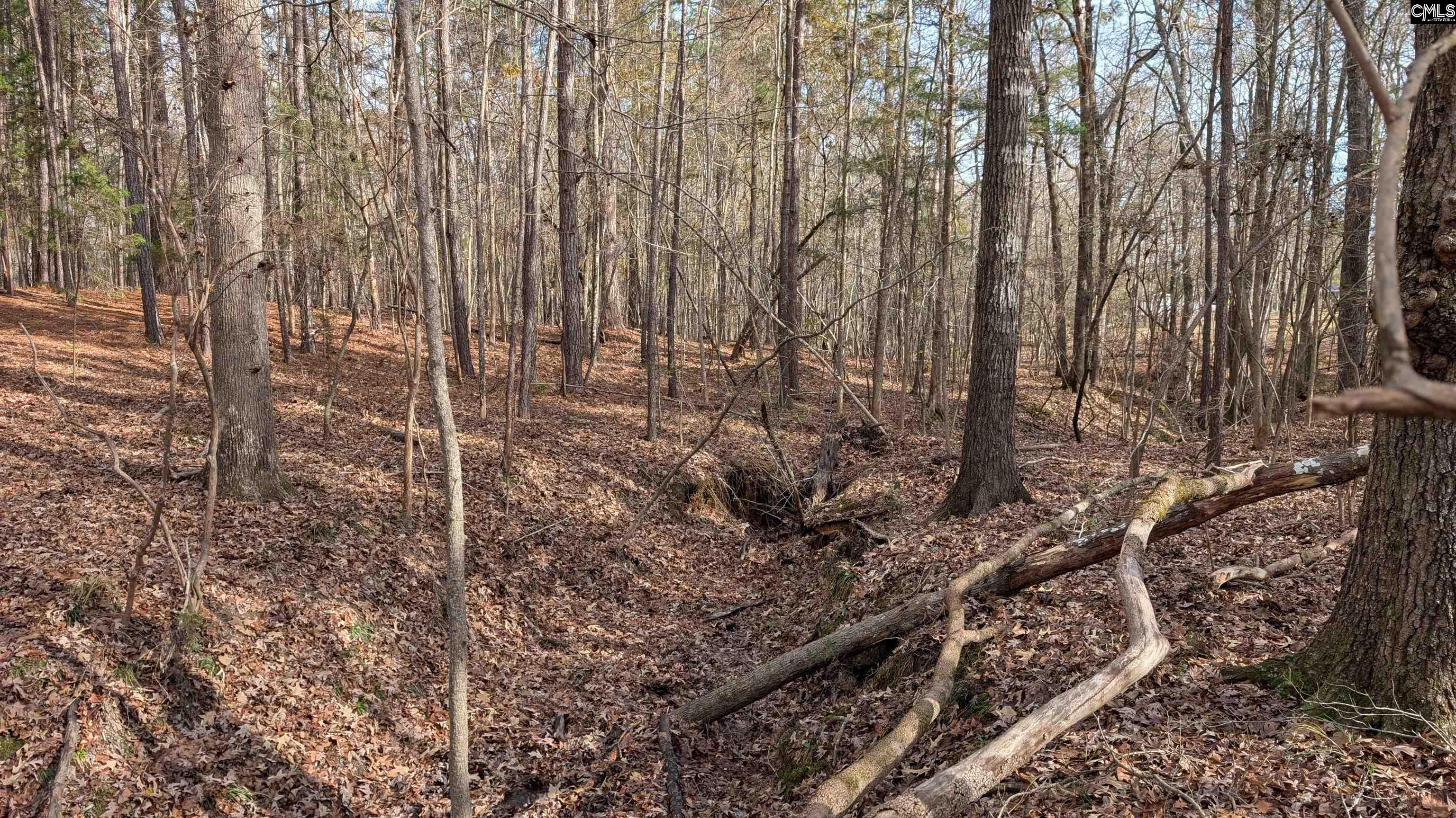 TBD Wateree Estates Road, Winnsboro, South Carolina image 7