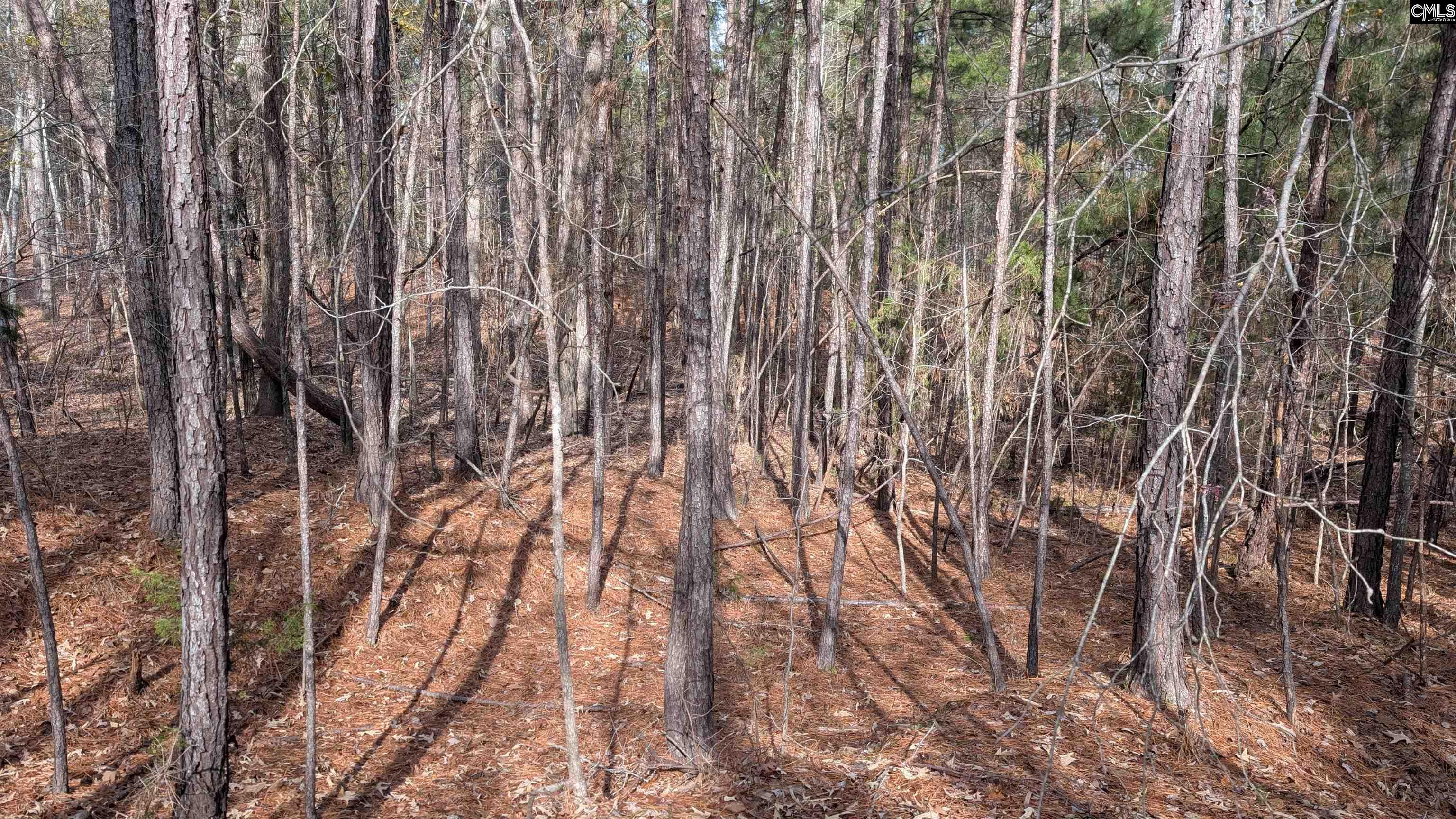 TBD Wateree Estates Road, Winnsboro, South Carolina image 8