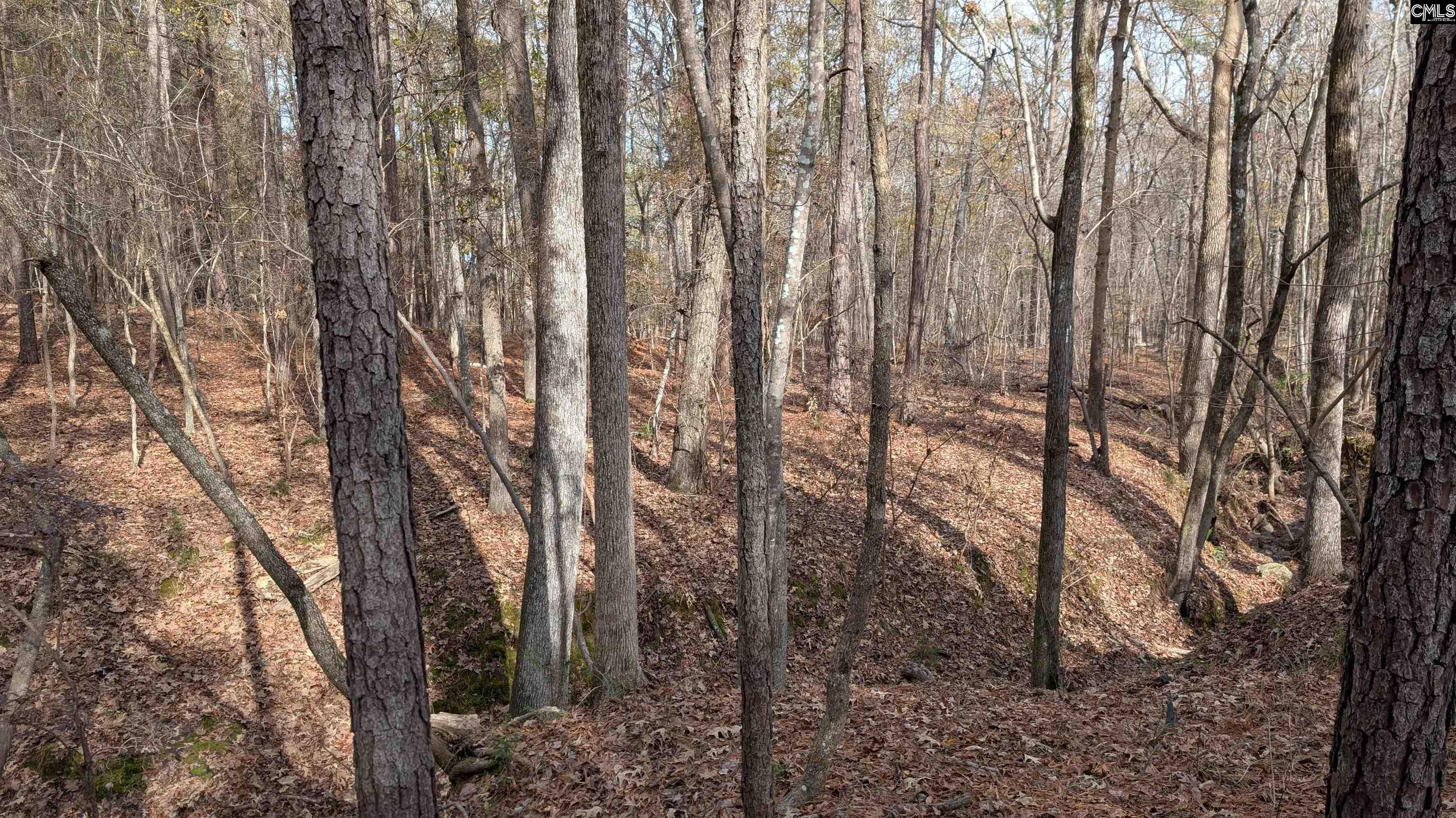 TBD Wateree Estates Road, Winnsboro, South Carolina image 9