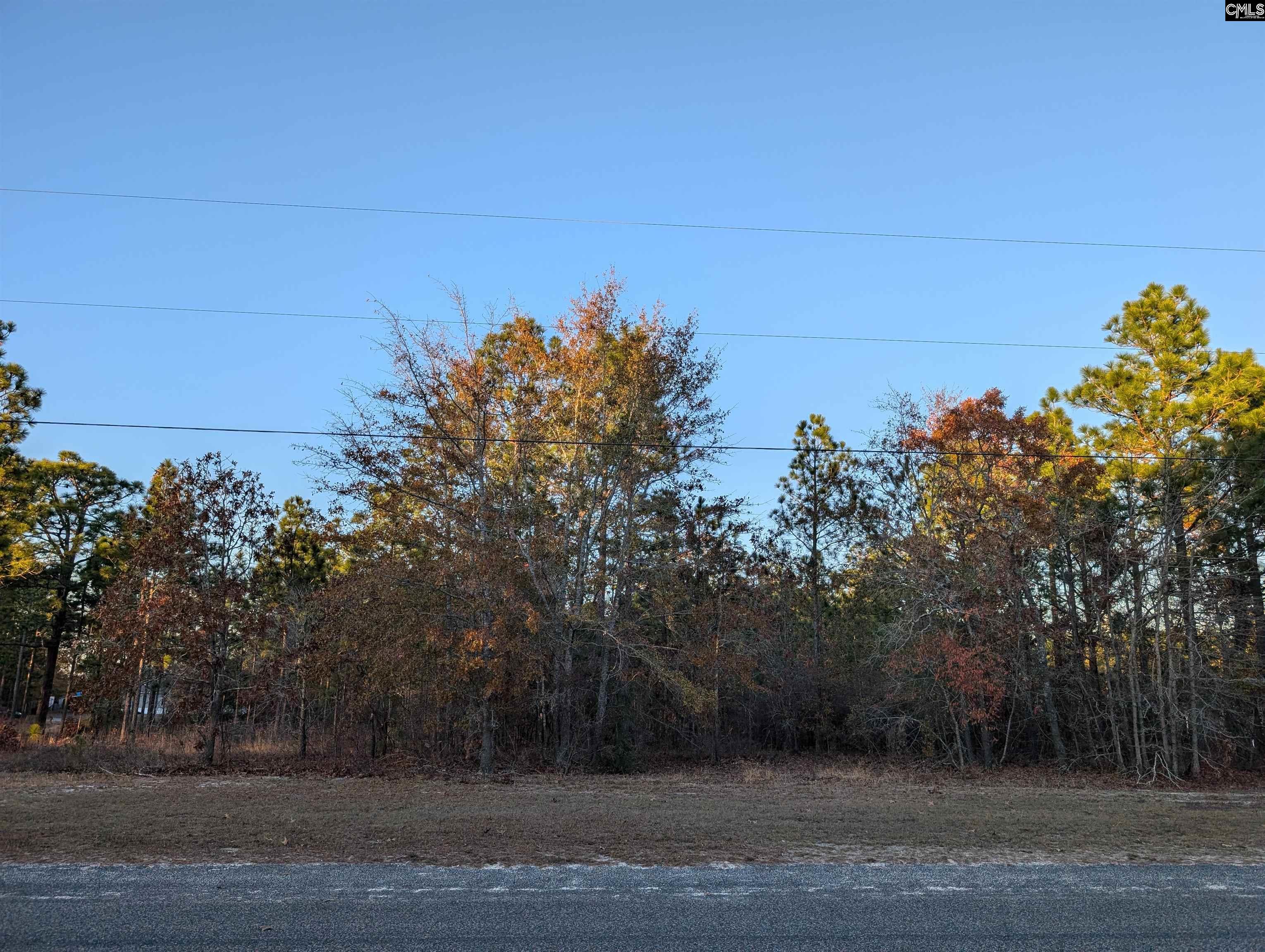 256 Leaning Tree Road Pelion, SC 29123